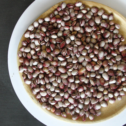 Dried cranberry beans, red and white mottled, in a light wooden bowl. Healthy legumes for cooking.
