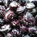 Dried mottled purple and white cranberry beans, close-up of heirloom legumes.