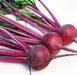 Three vibrant red beetroots with pink and white striped stems and green leaves, fresh organic root vegetables on white.