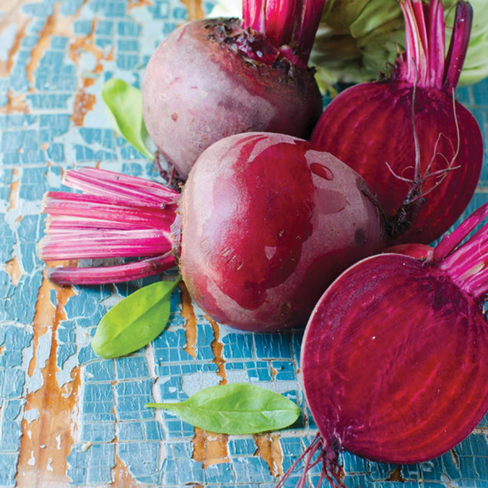 Vibrant red beets, whole and sliced, with green leaves on a distressed blue wooden background. Fresh, organic root vegetables.