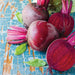Vibrant red beets, whole and sliced, with green leaves on a distressed blue wooden background. Fresh, organic root vegetables.