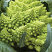 Close-up of vibrant green Romanesco broccoli, a fractal vegetable with conical florets. Fresh, healthy produce.
