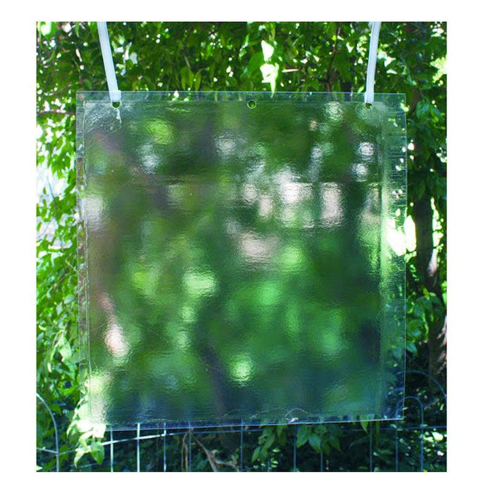 Clear sticky insect trap, square, hanging outdoors in a garden setting with green trees.