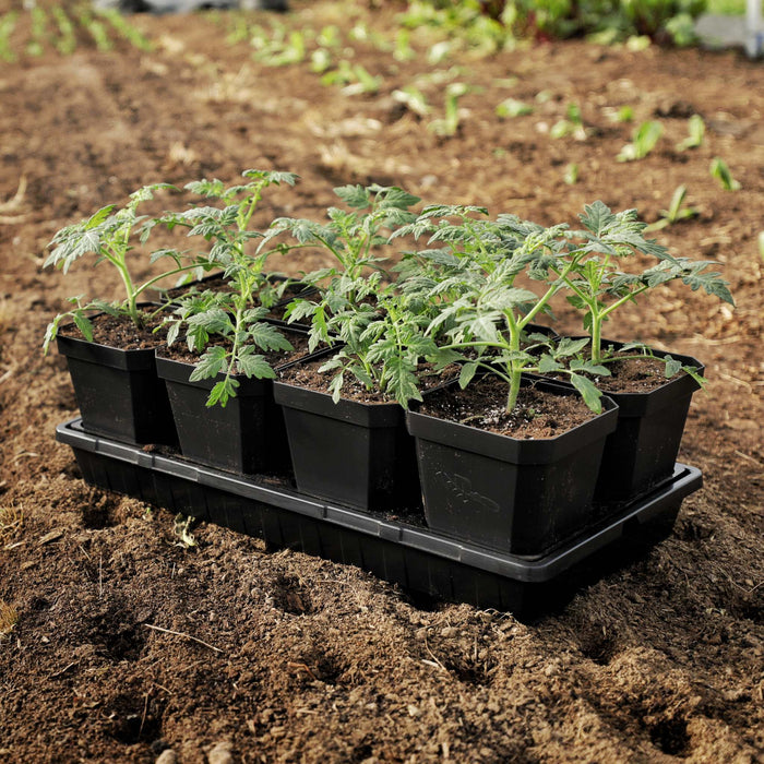 5" Heavy Duty Seed Starting Pots