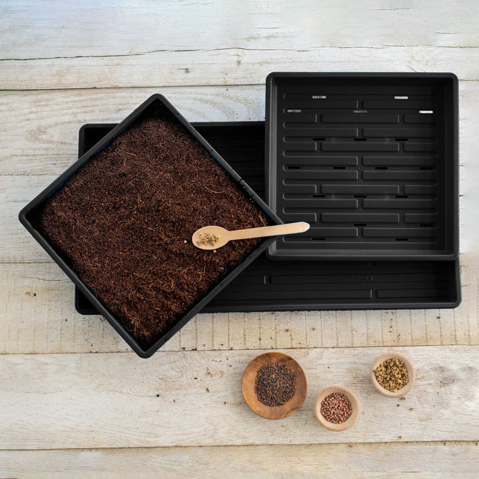 Black microgreen trays, one with planting soil and seeds on a spoon, plus bowls of seeds for starting microgreens.
