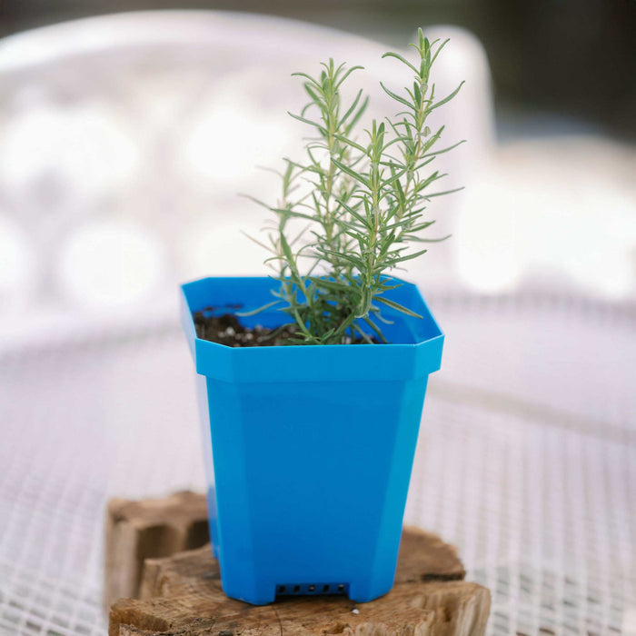 5" Reusable Seed Starting Pots with Insert