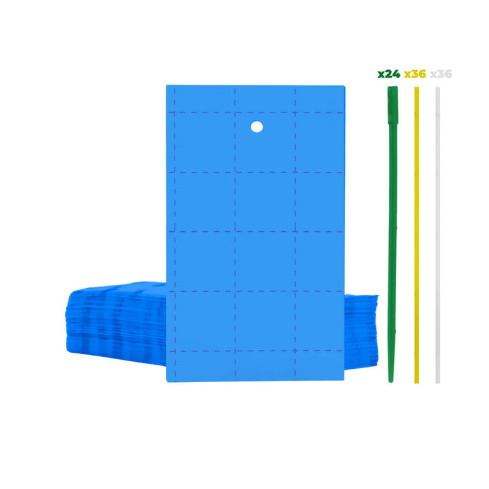 Blue perforated sticky insect traps with green, yellow, white stakes for plant pest control.
