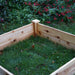 Unfinished cedar raised garden bed with grass inside, set in a garden with green foliage and red flowers.