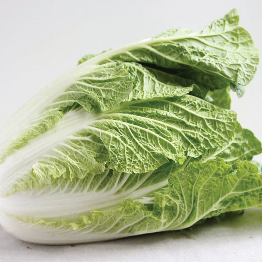 Whole Napa cabbage, also known as Chinese cabbage, with vibrant green leaves and white base.