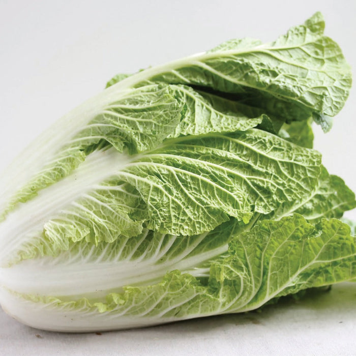 Whole Napa cabbage, also known as Chinese cabbage, with vibrant green leaves and white base.