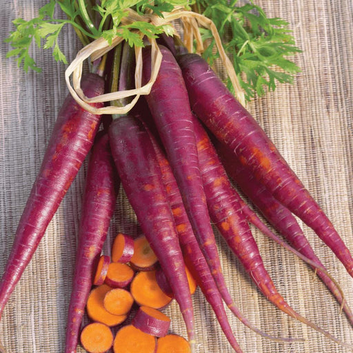 Vibrant purple carrots with green tops, tied. Sliced pieces show bright orange interior. Fresh, healthy root vegetables.