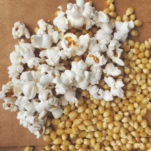White popped popcorn and golden unpopped kernels on a brown surface. Delicious movie night snack food ingredients.