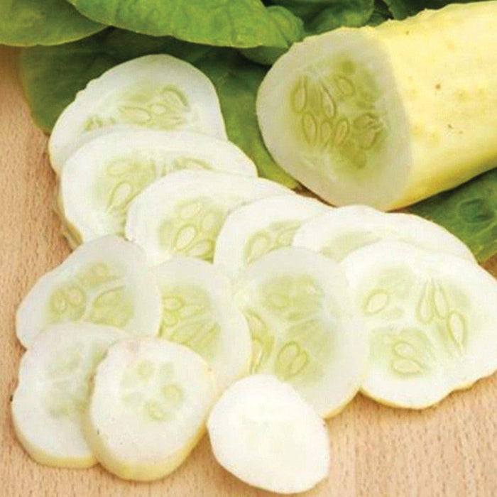 Fresh white cucumber, whole and thinly sliced, revealing seeds, on a cutting board with green leaves. Salad ingredient.