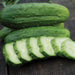 Crisp green cucumbers, whole and sliced, displaying white flesh and seeds. Fresh garden vegetables on a wooden surface.