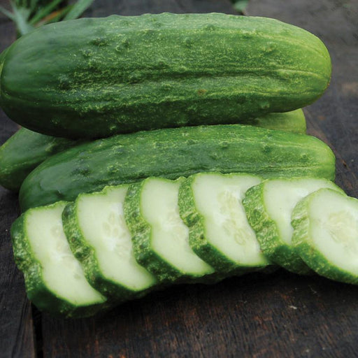 Fresh green cucumbers, whole and sliced, with bumpy skin and white flesh on a wooden table. Healthy produce.