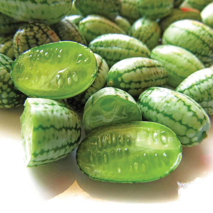 Fresh cucamelons (Mexican sour gherkins), whole and sliced, with striped green skin and juicy interior.