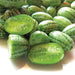 Fresh cucamelons (Mexican sour gherkins), whole and sliced, with striped green skin and juicy interior.
