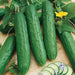 Fresh green cucumbers, whole and sliced, with vibrant leaves, yellow flower, and tendrils. Delicious garden harvest.
