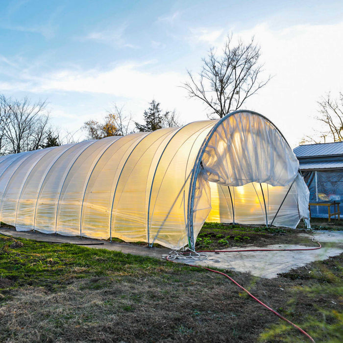 Large clear plastic greenhouse tunnel, warm light inside, for season extension farming. Bare trees and grass outside.