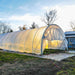Large clear plastic greenhouse tunnel, warm light inside, for season extension farming. Bare trees and grass outside.