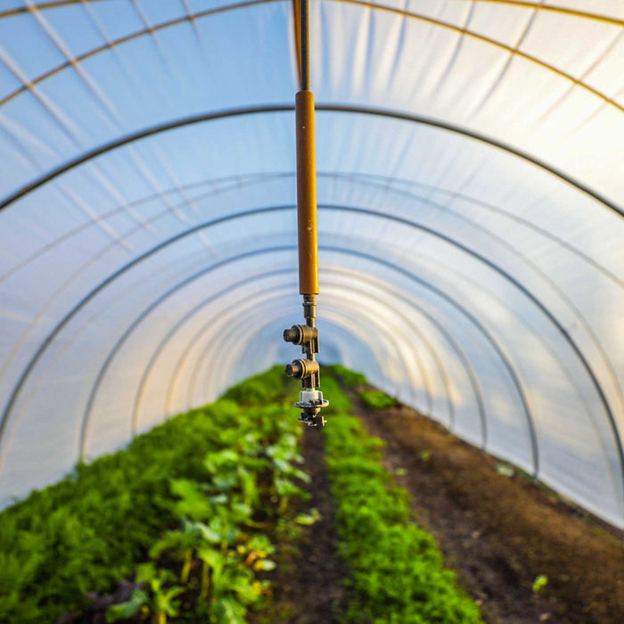 Overhead irrigation sprinkler inside a high tunnel greenhouse with rows of vibrant green vegetables. Sustainable farming.