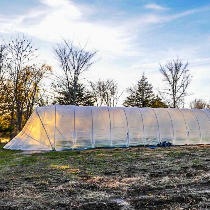 Large plastic hoop house greenhouse on a farm field. Sunlight illuminates plants inside for season extension farming.