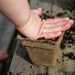 Child's hand presses soil in a biodegradable plant pot. Early gardening, seed starting, hands-on learning.