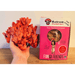 Hand holding vibrant pink oyster mushrooms next to a Fungi Friends Pink Oyster Mushroom Growing Kit. Easy home grow.