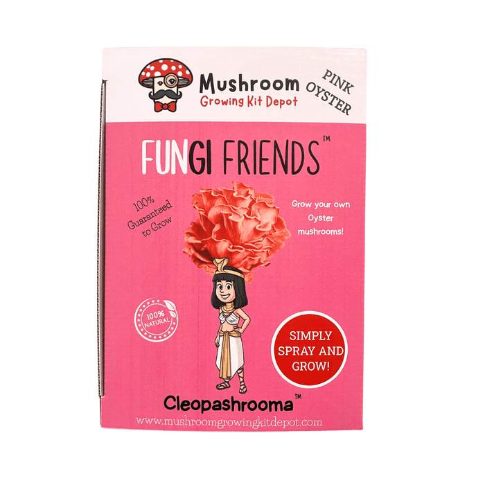 Pink Oyster Mushroom Growing Kit box. Fungi Friends "Cleopashrooma" kit with cartoon mushroom & Cleopatra. Simply Spray & Grow!