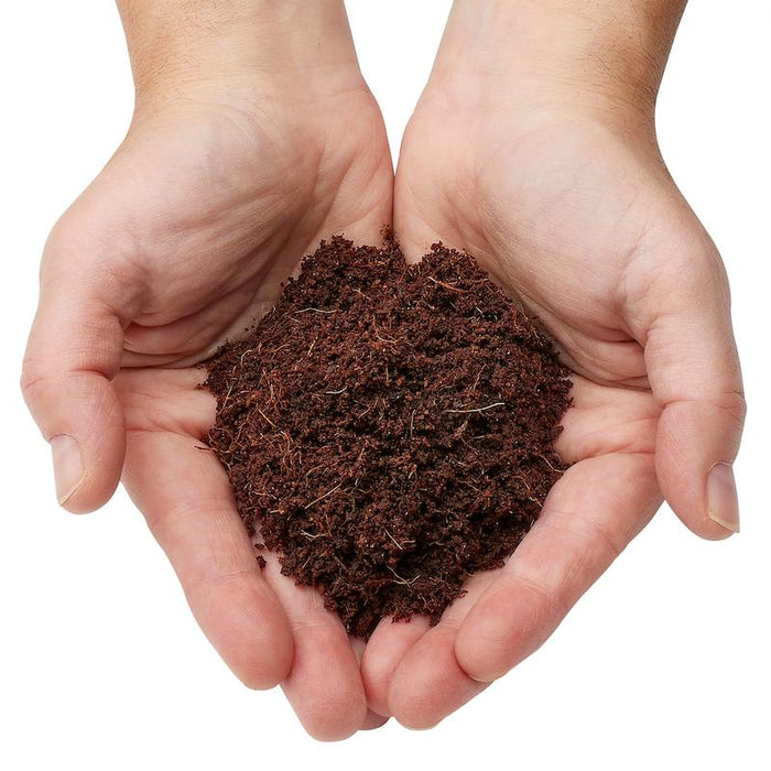 Cupped hands holding dark, rich potting soil with visible fibers. Excellent for gardening, planting, and healthy growth.