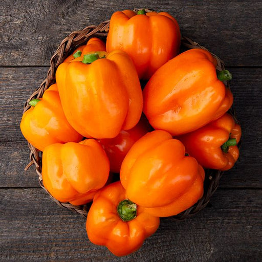 Fresh orange bell peppers in a woven basket on dark rustic wood. Organic, vibrant vegetables.