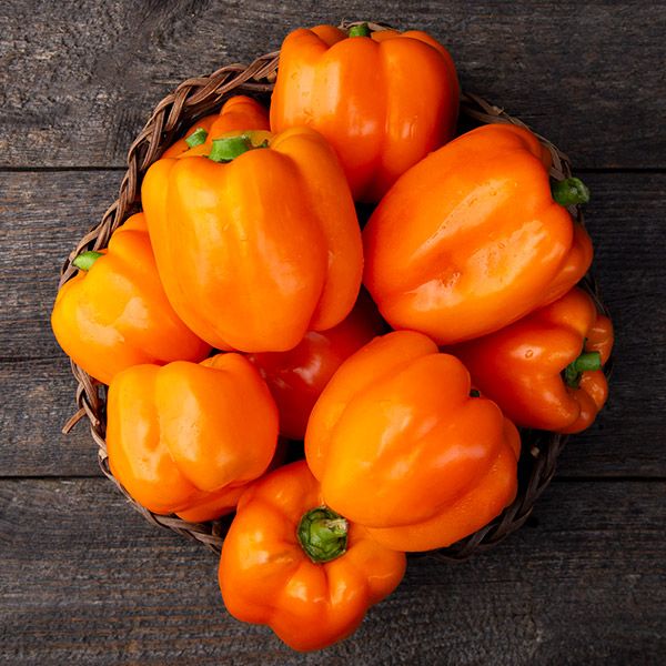 Fresh orange bell peppers in a woven basket on dark rustic wood. Organic, vibrant vegetables.