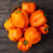 Fresh orange bell peppers in a woven basket on dark rustic wood. Organic, vibrant vegetables.