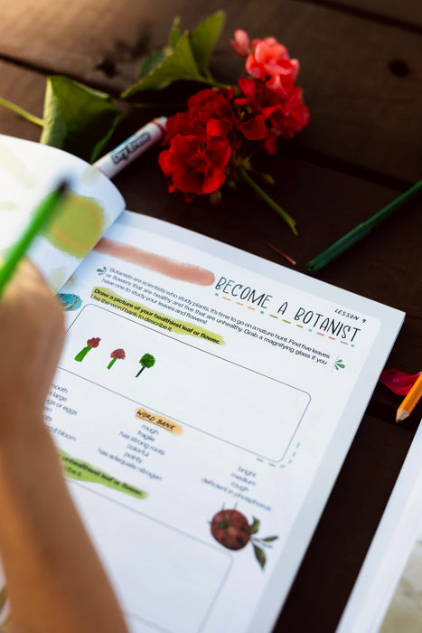 In the Garden - Workbook