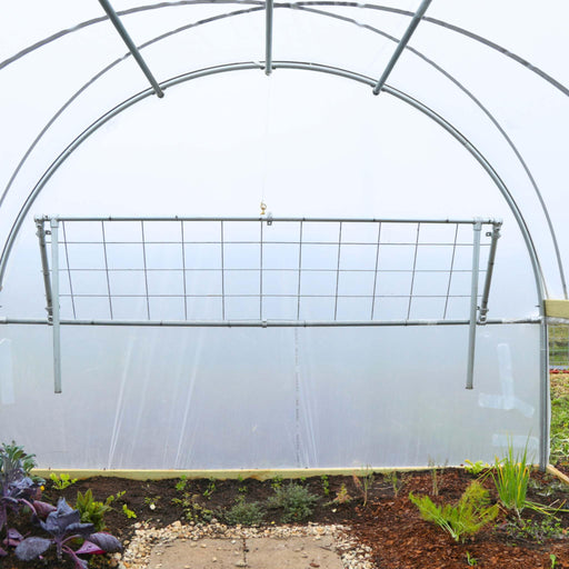 Greenhouse interior with young vegetables in raised beds, metal frame, and a hanging trellis for vertical gardening.