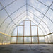 New hoop house interior with arched metal frame, translucent plastic, wooden walls, and dirt floor. Ready for farm crops.