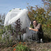 Gardener points to plants inside a white fabric frost protection cover. Essential for winterizing delicate garden plants.