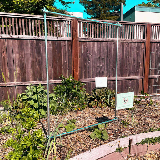Vibrant community vegetable garden bed with celery, leafy greens, straw mulch, wooden fence, and "Watch Your Step" sign.
