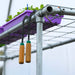 Green lettuce seedlings in purple trays on a metal greenhouse rack. Two hand hoes with wooden handles hang below.