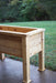 Cedar raised garden planter box on a wet patio, ideal for herbs, vegetables, and flowers.