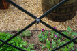 Black fence frames a spring garden with blooming purple tulips, mint, and herbs. Gravel path and wooden barrel in background.