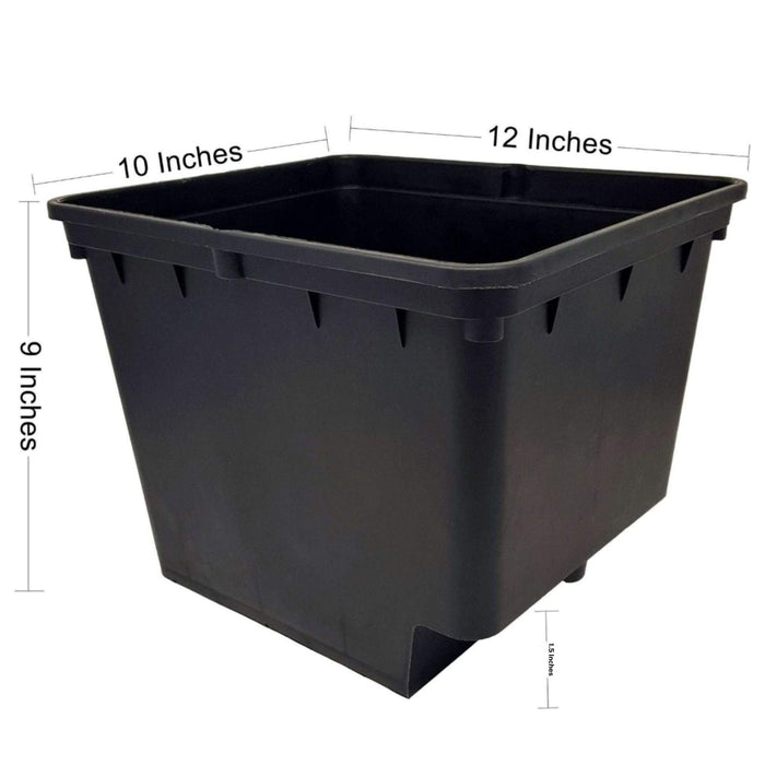Dutch Bucket