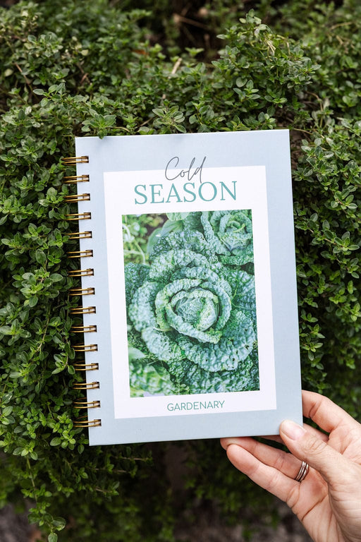 Hand holding Gardenary 'Cold Season' planner with savoy cabbage cover, against green thyme. Winter gardening journal.
