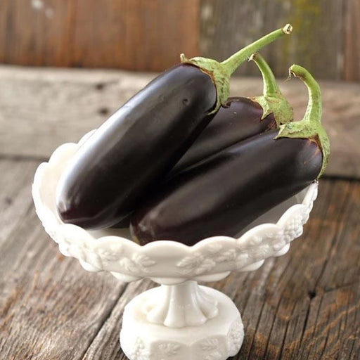 Three fresh dark purple eggplants (aubergine) with green stems in a white ornate bowl on rustic wood.