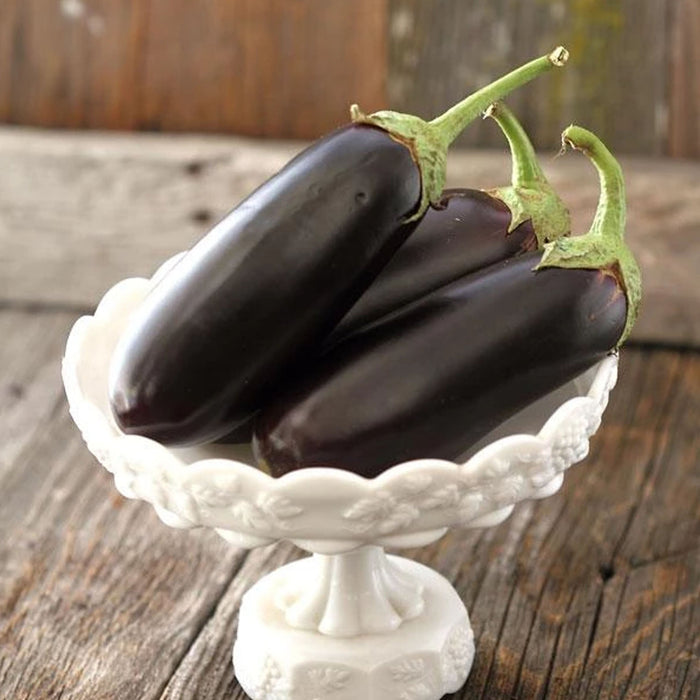 Three fresh dark purple eggplants (aubergine) with green stems in a white ornate bowl on rustic wood.