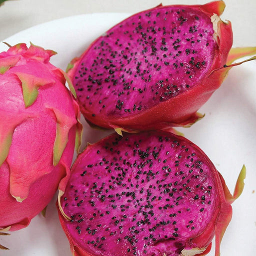 Fresh dragon fruit: one whole, two halves with vibrant magenta flesh and black seeds. Healthy pink tropical pitaya.