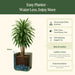 Easy self-watering planter infographic. Explains capillary action, water reservoir, and how roots draw water for hydrated, thriving plants.
