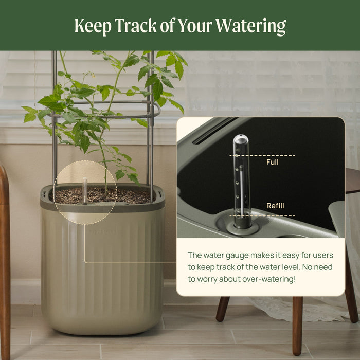 Self-watering planter with tomato plant, trellis, and visible water gauge for easy watering & tracking levels. Ideal for indoor gardens.