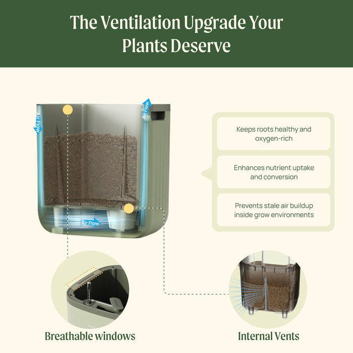 Plant grow system ventilation diagram: air flow, breathable windows, internal vents for healthy roots and nutrient uptake.