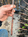Hand holds plant cutting with a node sprouting roots below the soil line. Demonstrates successful plant propagation.
